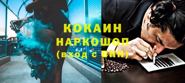 PSILOCYBIN Аркадак